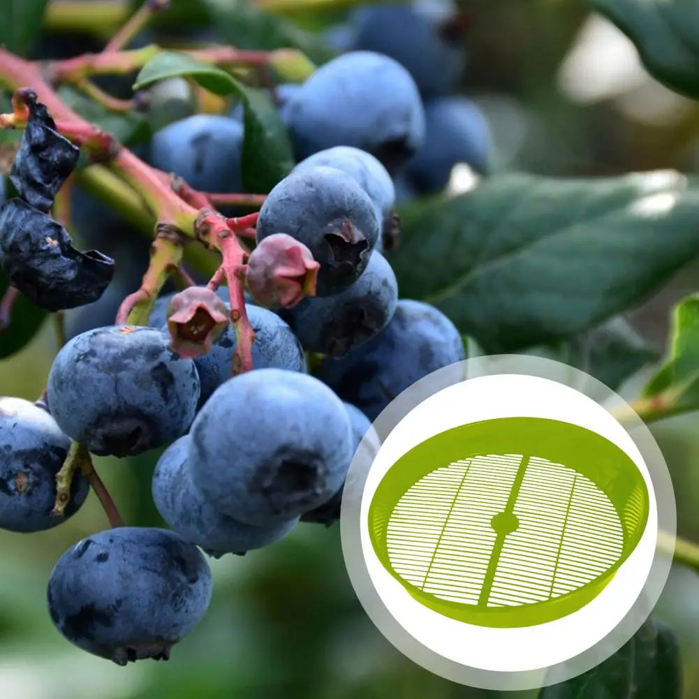 Efficient Kitchen Tool Multifunctional Blueberry Food Sieve Colander Efficient Drain Basket for Washing Fruits for Cake