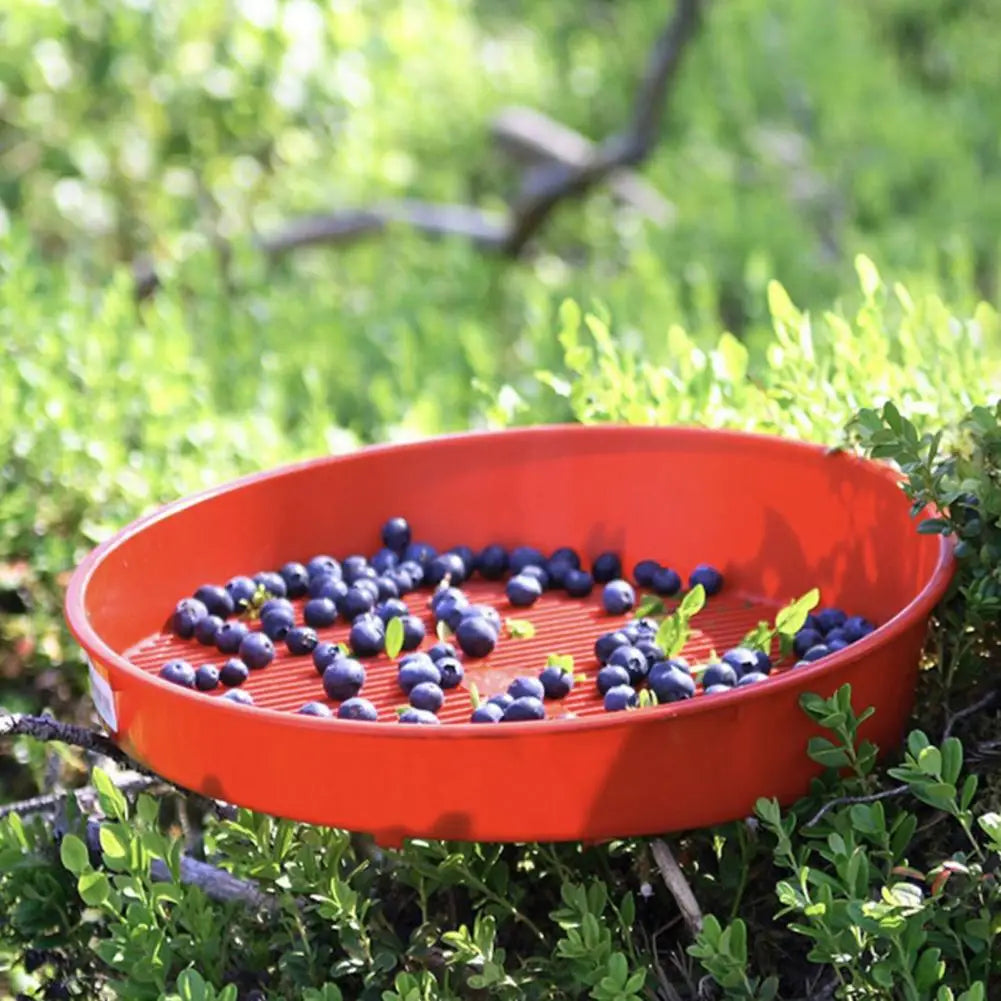 Efficient Kitchen Tool Multifunctional Blueberry Food Sieve Colander Efficient Drain Basket for Washing Fruits for Cake